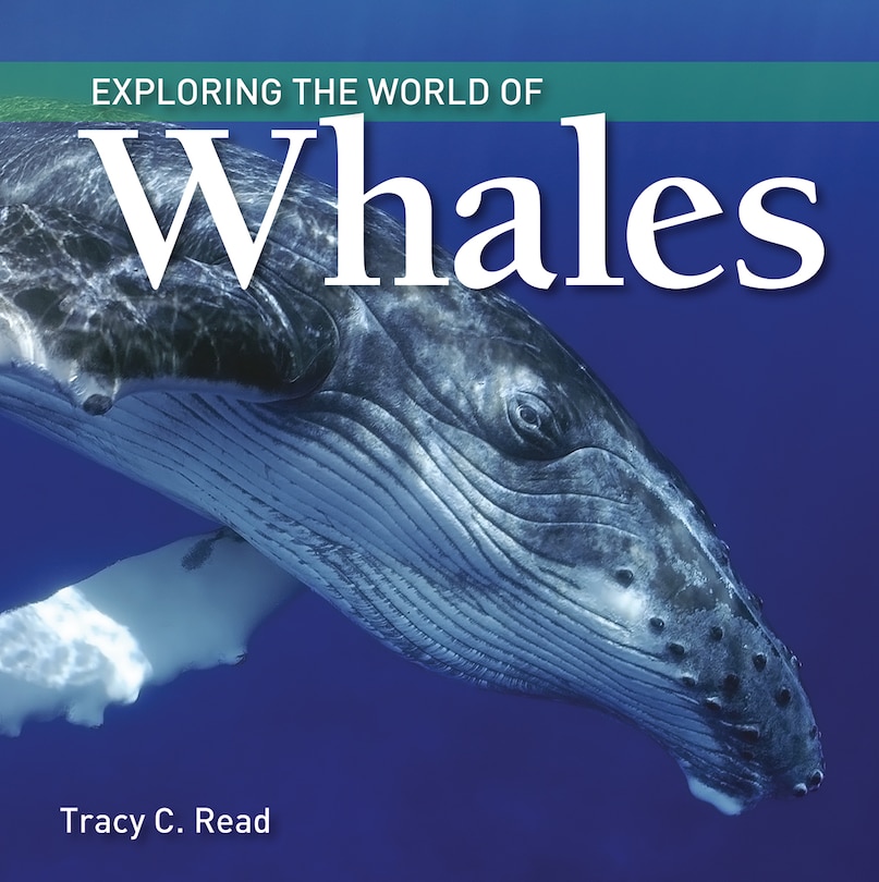 Couverture_Exploring the World of Whales