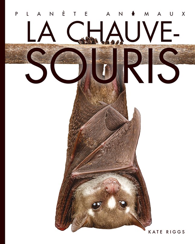 Couverture_La chauve-souris