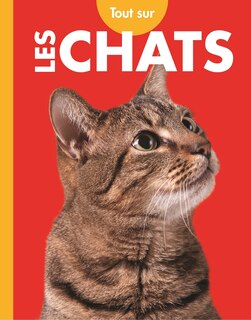 Tout sur les chats