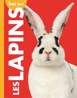 Tout sur les lapins