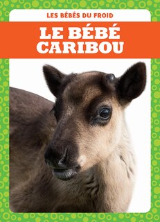 Couverture_Le bébé caribou