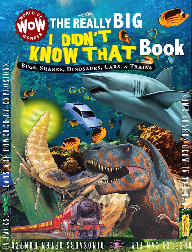 The Really Big I Didn't Know That Book: Bugs, Sharks, Dinosaurs, Cars, & Trains: Really Big Books