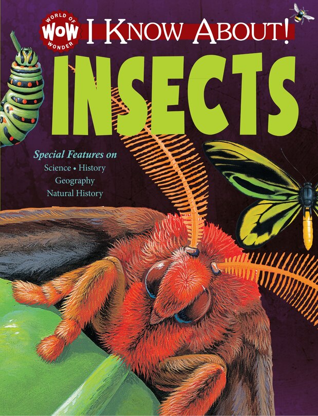 I Know About! Insects: I Know About