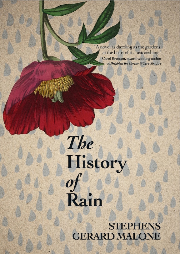 Front cover_The History of Rain
