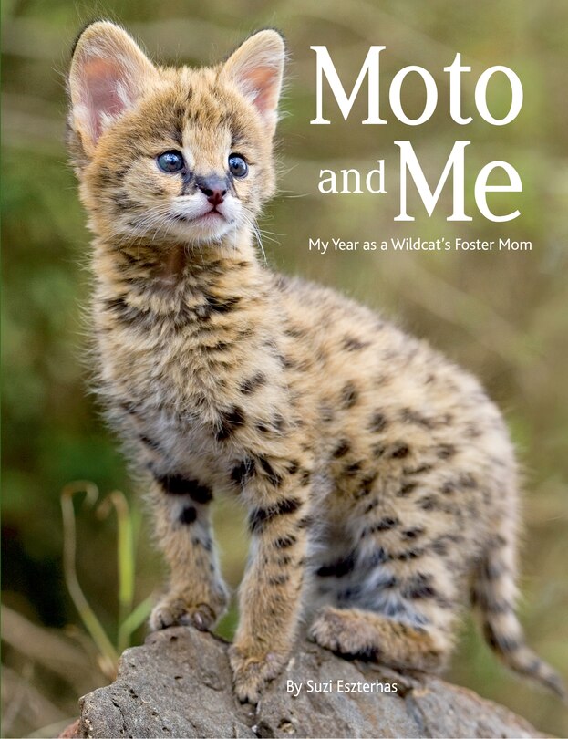 Front cover_Moto and Me
