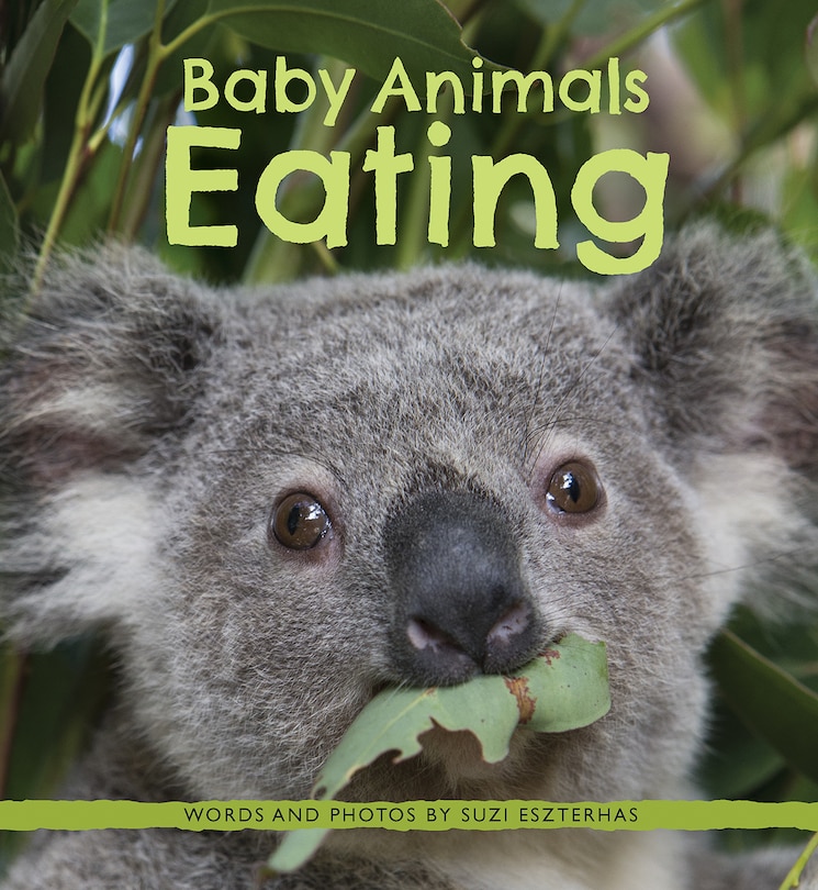 Front cover_Baby Animals Eating
