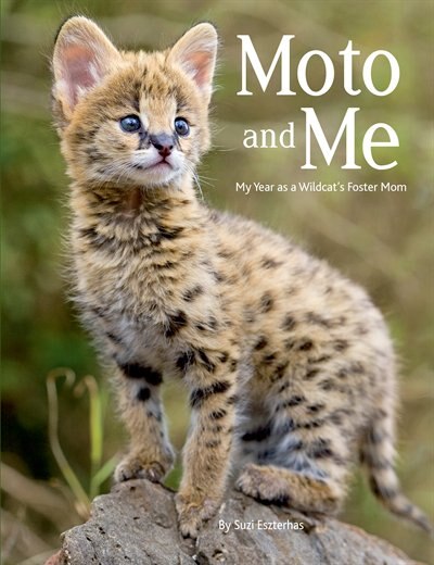 Front cover_Moto And Me