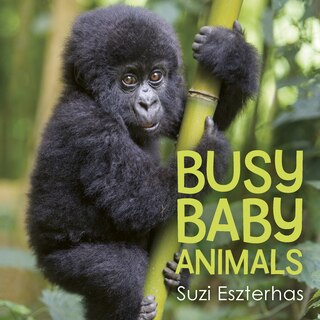 Front cover_Busy Baby Animals