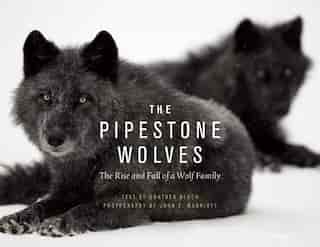 The Pipestone Wolves: The Rise and Fall of a Wolf Family by Günther Bloch