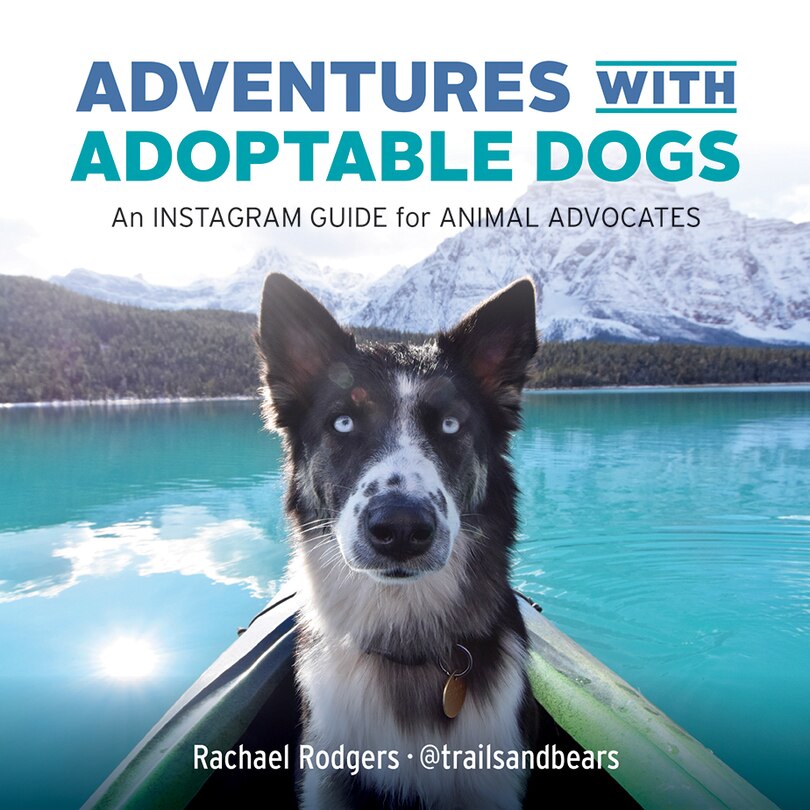 Couverture_Adventures With Adoptable Dogs