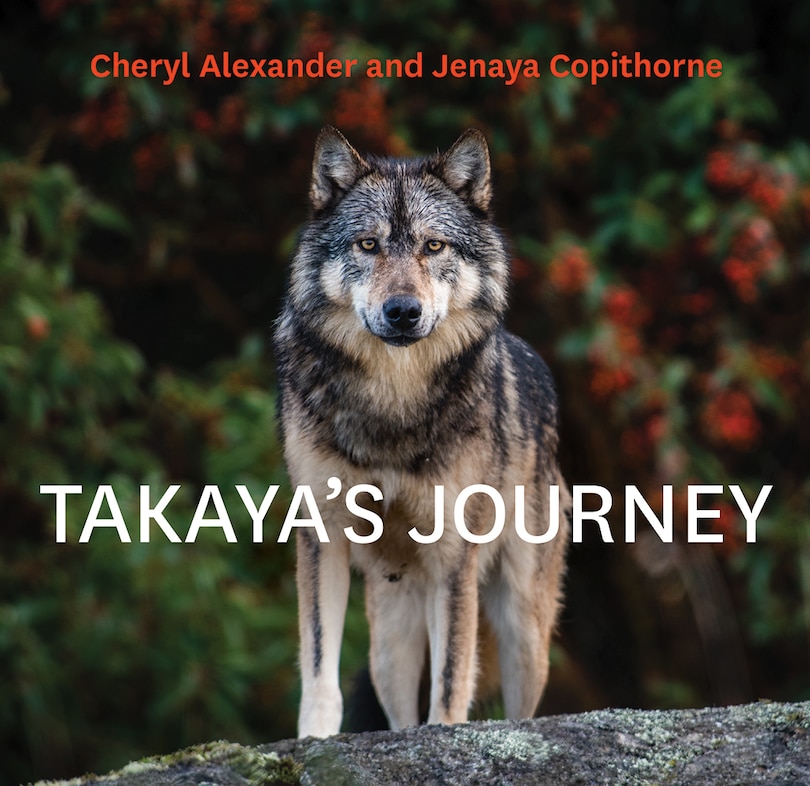 Front cover_Takaya's Journey
