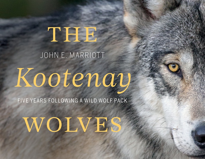 Front cover_The Kootenay Wolves