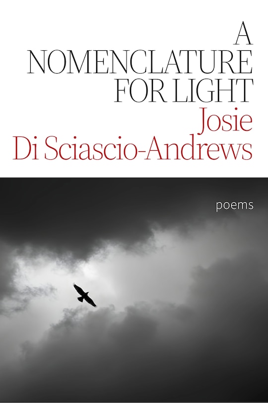 Front cover_A Nomenclature for Light