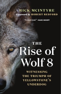 Couverture_The Rise of Wolf 8