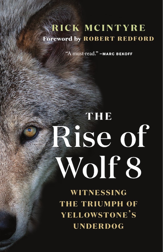 Couverture_The Rise of Wolf 8