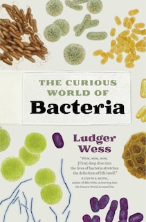 Couverture_The Curious World of Bacteria