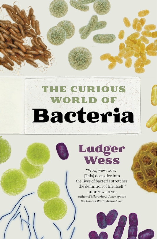 Couverture_The Curious World of Bacteria