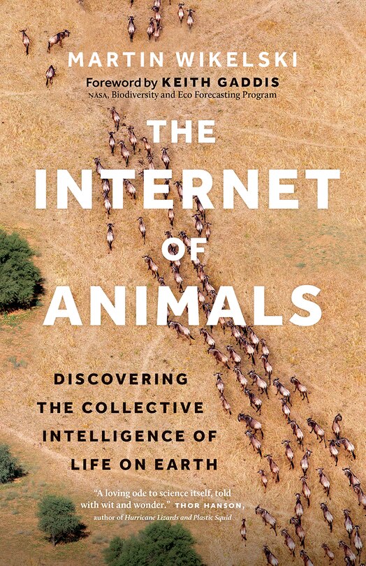 Front cover_The Internet of Animals