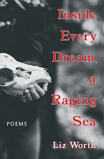 Front cover_Inside Every Dream, a Raging Sea