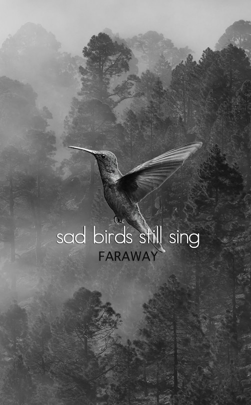 Couverture_Sad Birds Still Sing