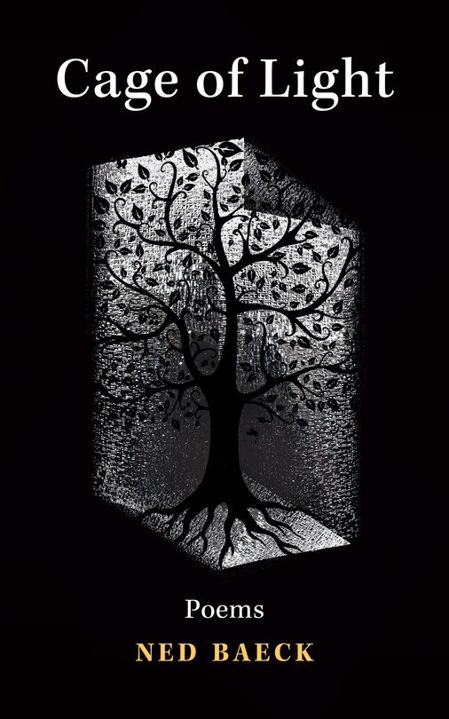 Couverture_Cage of Light