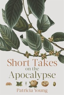 Front cover_Short Takes on the Apocalypse