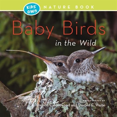 Front cover_Baby Birds In The Wild