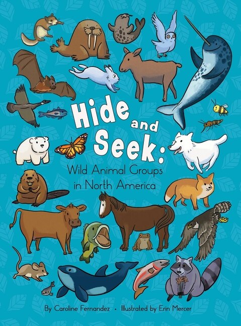 Front cover_Hide and Seek
