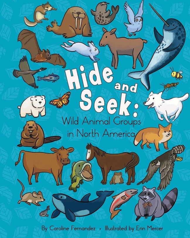 Front cover_Hide and Seek
