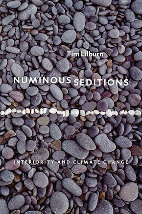 Numinous Seditions: Interiority and Climate Change