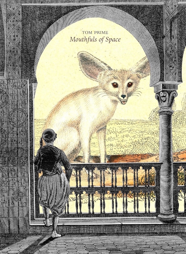 Couverture_Mouthfuls Of Space