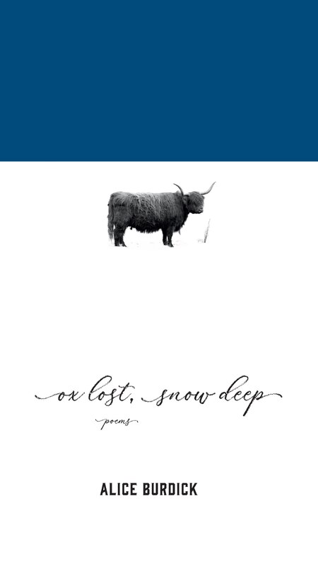 Couverture_Ox Lost, Snow Deep