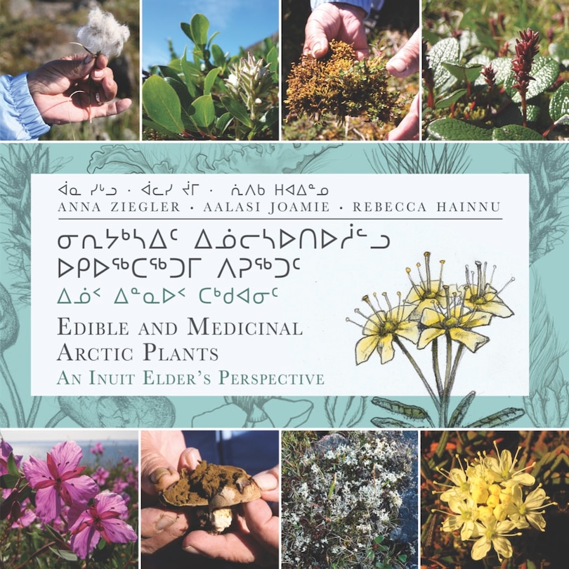 Front cover_Edible And Medicinal Arctic Plants