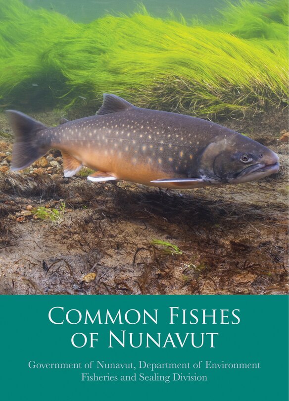Front cover_Common Fishes Of Nunavut