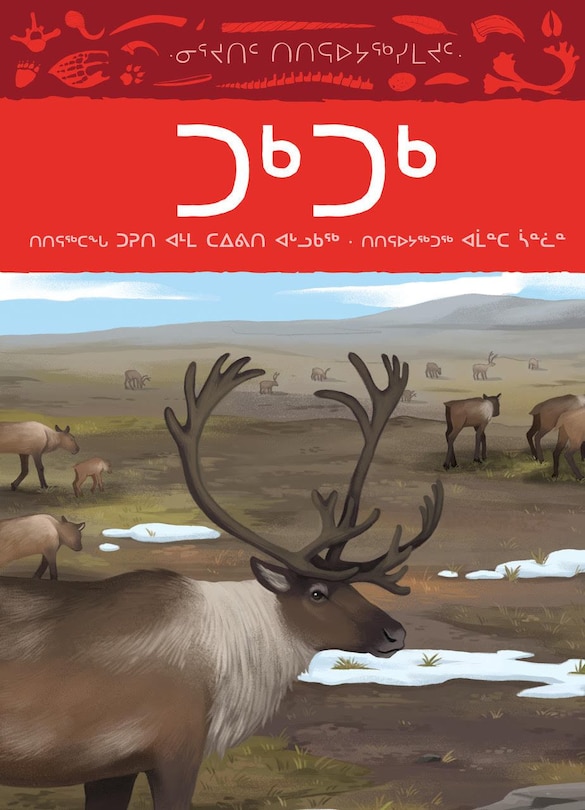 Couverture_Animals Illustrated: Caribou