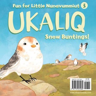 Ukaliq: Snow Buntings!: Fun For Little Nunavummiut 3