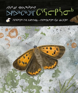 Couverture_A Children's Guide to Arctic Butterflies