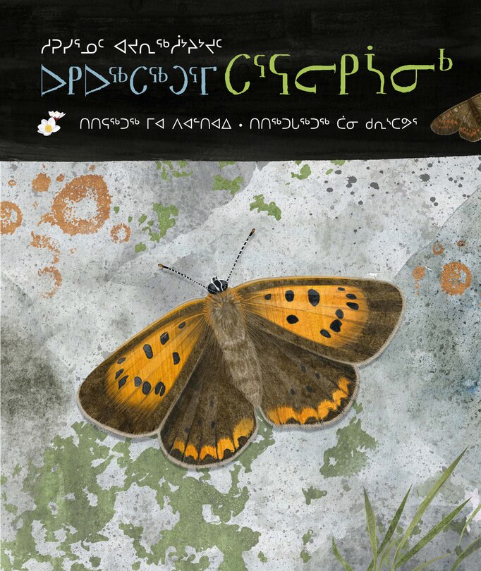 Couverture_A Children's Guide to Arctic Butterflies