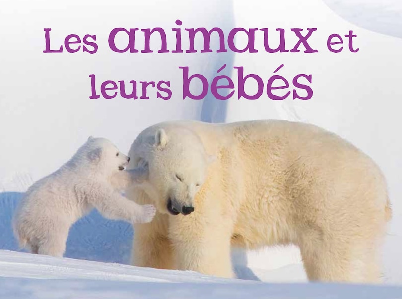 Couverture_Adult and Baby Animals