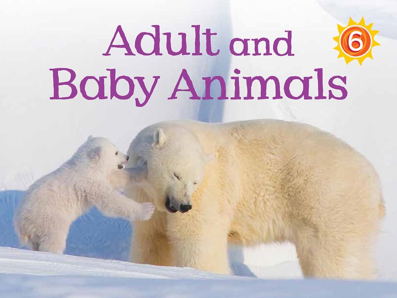 Front cover_Adult And Baby Animals