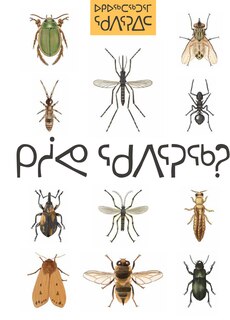 Couverture_Insects Of The Arctic: What Is An Insect?
