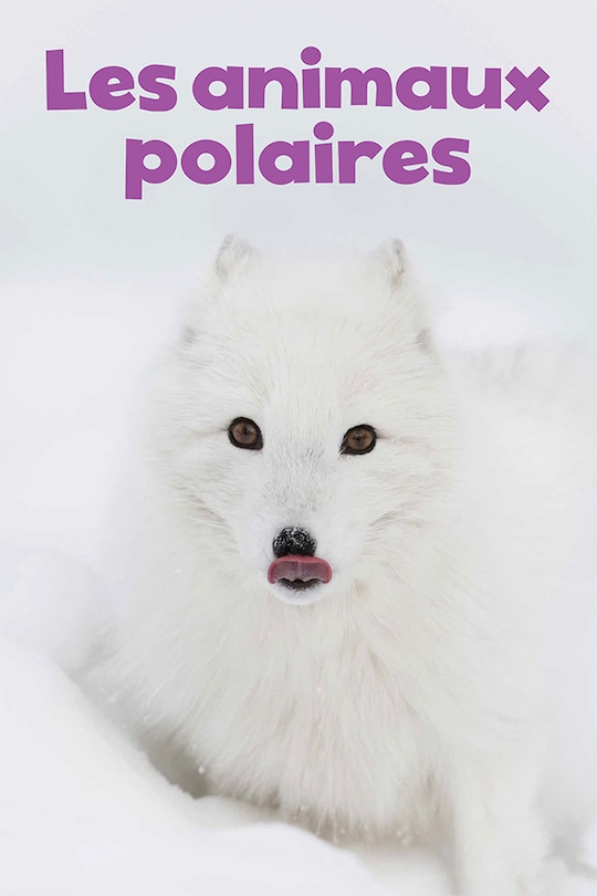 Front cover_Les Animaux Polaires Format Géant