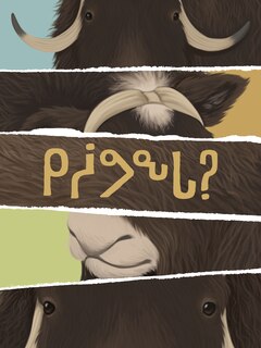 Couverture_What Am I?