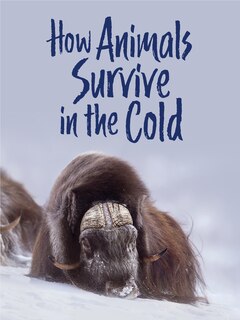 Couverture_How Animals Survive In The Cold