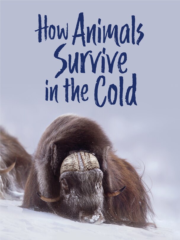 Couverture_How Animals Survive In The Cold
