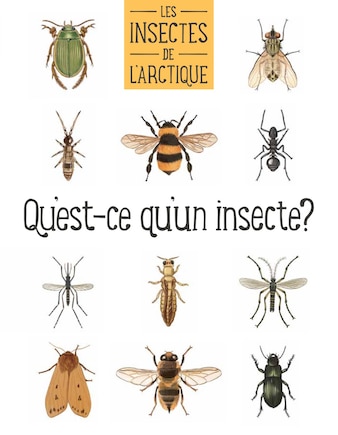 Les Insectes De L'arctique: French Edition