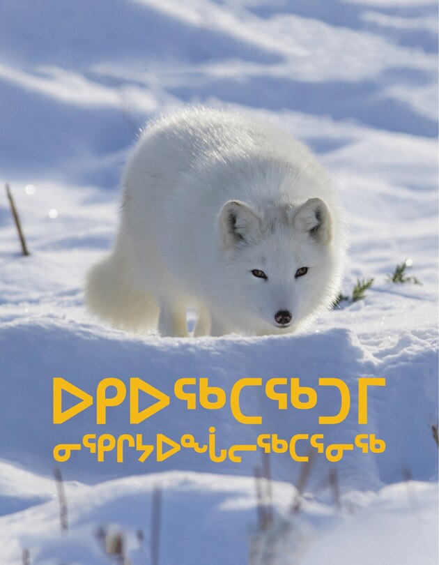 Front cover_Arctic Animal Food Chains