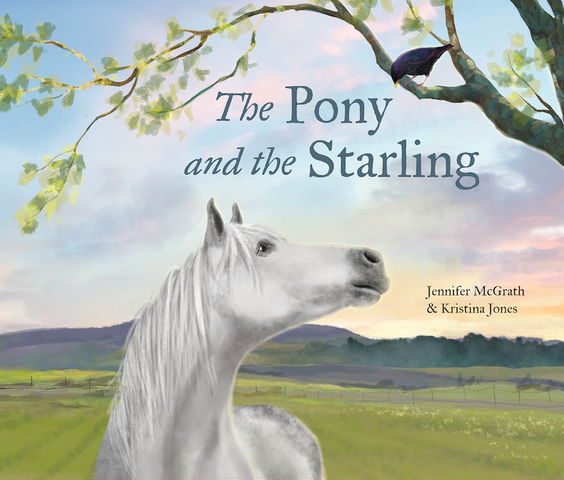 Front cover_The Pony and the Starling