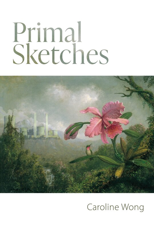 Couverture_Primal Sketches