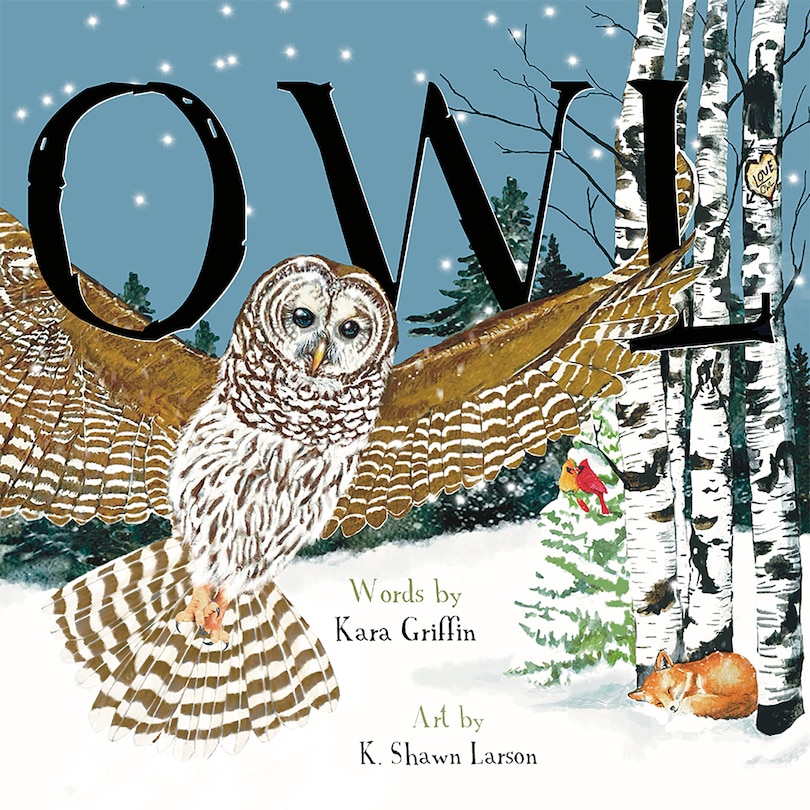 Front cover_Owl (pb)